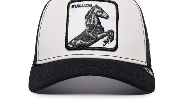 Gorra Goorin Bros black stallion 101-0624 G-238